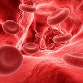Integratori alimentari per il sangue
