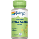 Kauranolki (Avena sativa), 100 kapselia