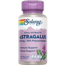 Solaray Astragalus-uute - 30 kapselia
