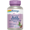 Solaray Grozdnata svetilka - Black Cohosh - 120 kaps.