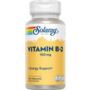 Vitamin B-2 100 mg, 100 Vegetarische Capsules