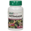 Herbal actives Astrágalo - 60 cápsulas vegetales