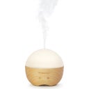 PRIMAVERA Woody Aroma Vernevelaar - 1 stk