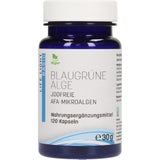 Life Light Algue Bleue-Verte