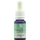 Helping Flowers® Nr. 20 Heckenrose - 10 ml