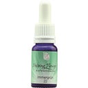 Helping Flowers® Zimozeleň č. 22 - 10 ml
