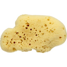 Cose della Natura Esponja Velvet - 1 pieza