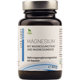 Life Light Magnesium