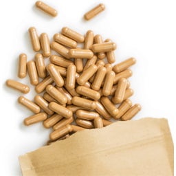 Terra Elements Cordyceps Bio en Cápsulas - 150 cápsulas