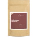 Terra Elements Organiczny proszek Polyporus - 100 g