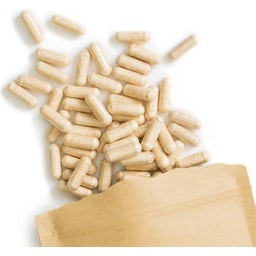 Terra Elements Ashwagandha Bio in Capsule - 150 capsule