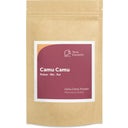 Terra Elements Camu Camu Pulver Ekologiskt - 100 g
