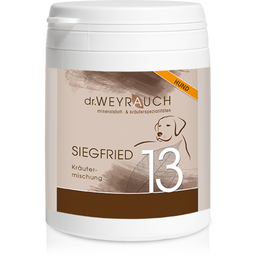 dr. WEYRAUCH N°13 