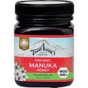 HOYER Manukahonig Bio - MGO 400+