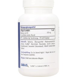 Allergy Research Group Berberine - 90 gélules veg.