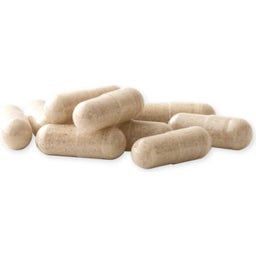 Raab Vitalfood MSM avec de l'Écorce de Saule - 90 gélules