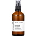 Saint Charles Raumspray Five Heroes - 100 ml