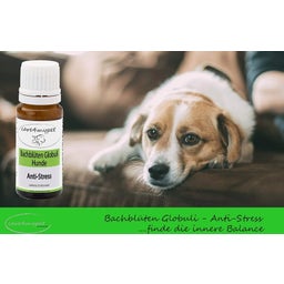 Care4mypet Bach-virágok Anti stressz - Kutya - 10 g