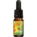 anatis Naturprodukte CBD Öl 10 % - 10 ml