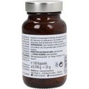 Kräuter Max Omega 3 Vegan - 60 capsules