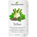 Phytopharma Breastfeeding - 90 capsules