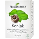 Konjak, 60 kapszula